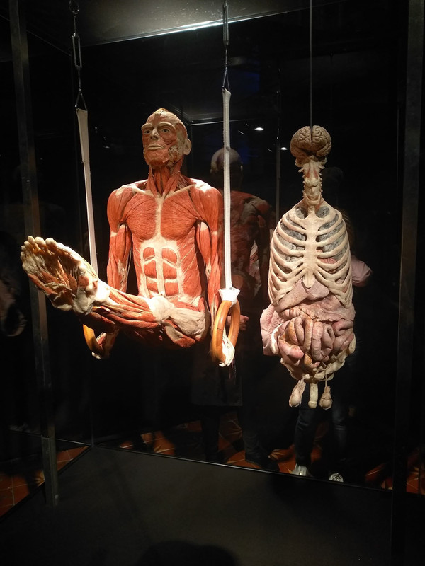 74214556_2315822938544086_2261552825421004800_n