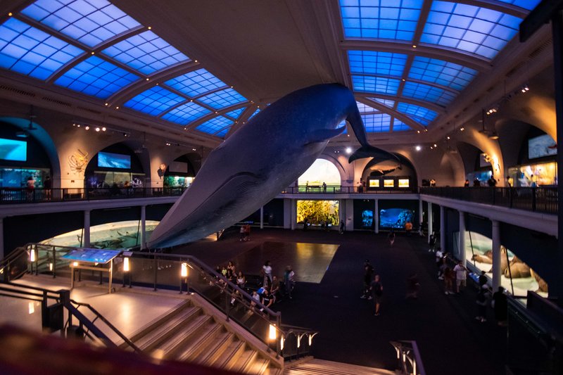 Nueva York en Septiembre - Blogs de USA - Día 3 - Museo Americano de Historia Natural y Central Park (3)