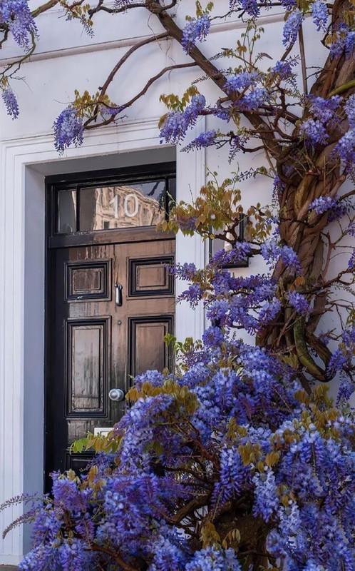 Screenshot_20240420_212130_Threads