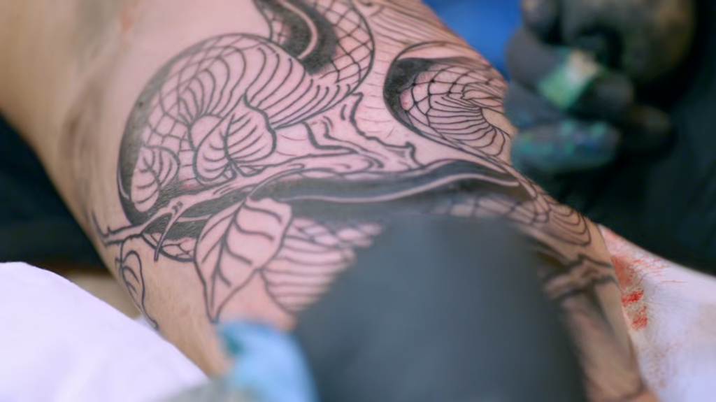 [Image: 40f8viepjv4t.png]