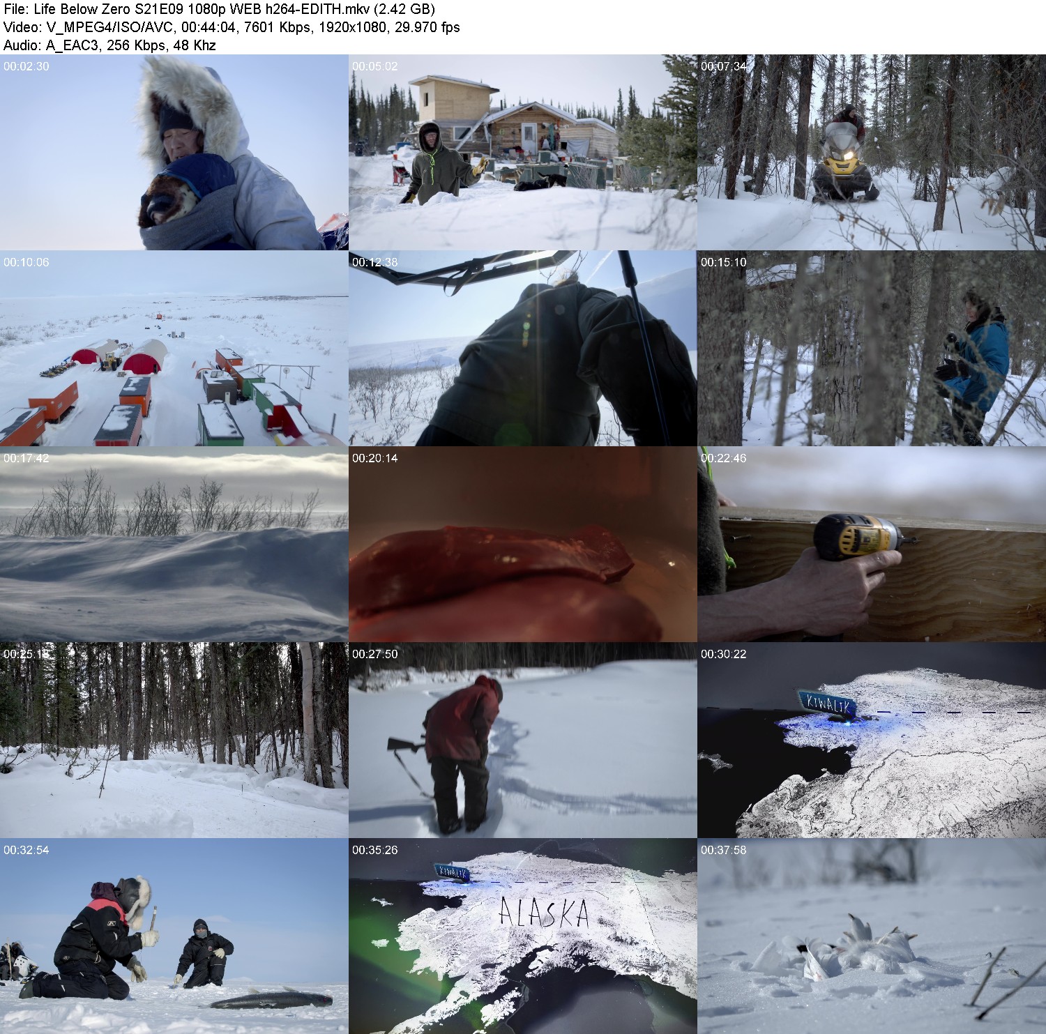 [Image: w5c2fh6z6hhz.jpg]