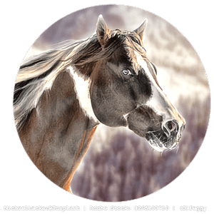 Untitled219_20250116010356_optimized