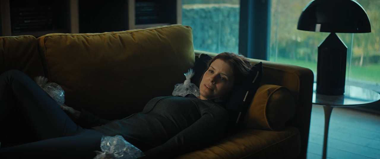 The Astronaut 2025 BluRay [Hindi + Tamil + Telugu + English] 480p, 720p ESub Screenshot