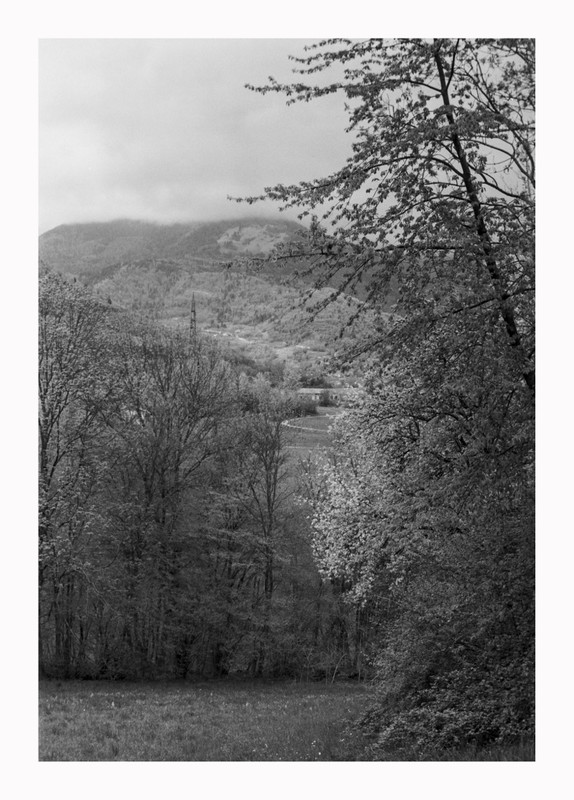 Leica IIIC_Summitar 50mm_25 apr 2022_22bordo (918x1280)