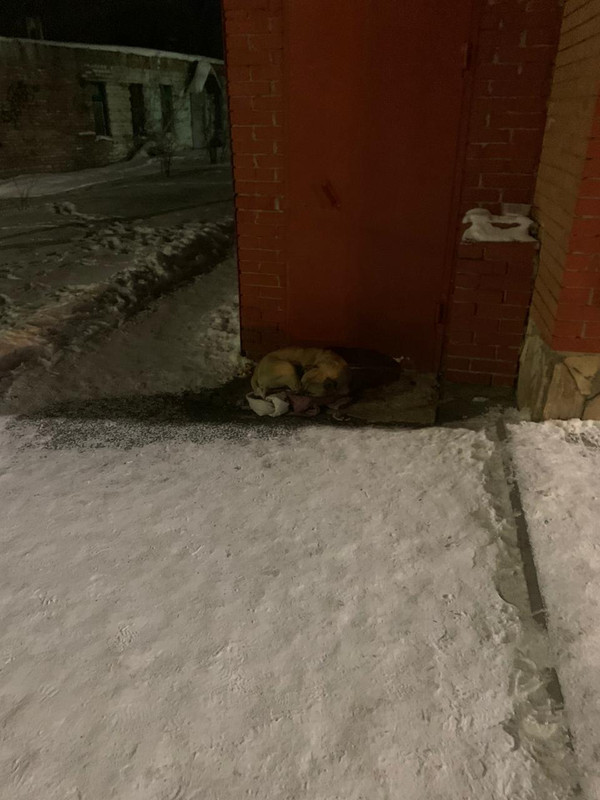 WhatsApp Image 2023-01-14 at 20.43.38 (1)