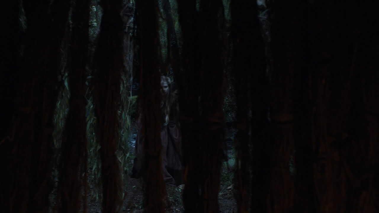 Il.Trono.di.Spade.S05E01.Guerre.imminenti.1080p.BDRip.ITA.ENG.DD5.1.FLAC.x264-BlackBit[screenshot 1]