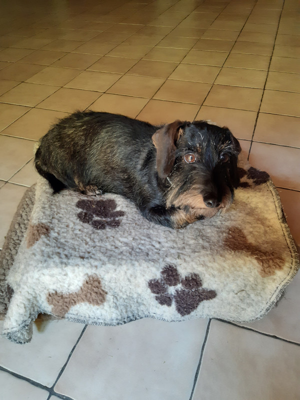 [Image: 20230606-120919.jpg]