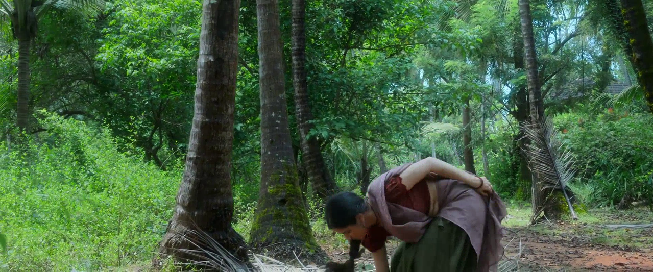 vlcsnap 2026 02 14 09h30m17s951