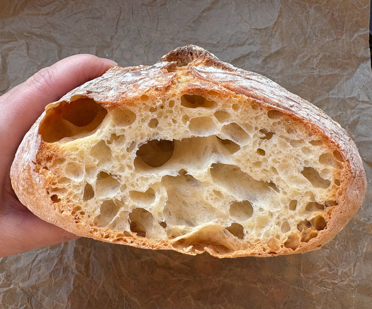 PHOTO 2026 03 22 16 38 45