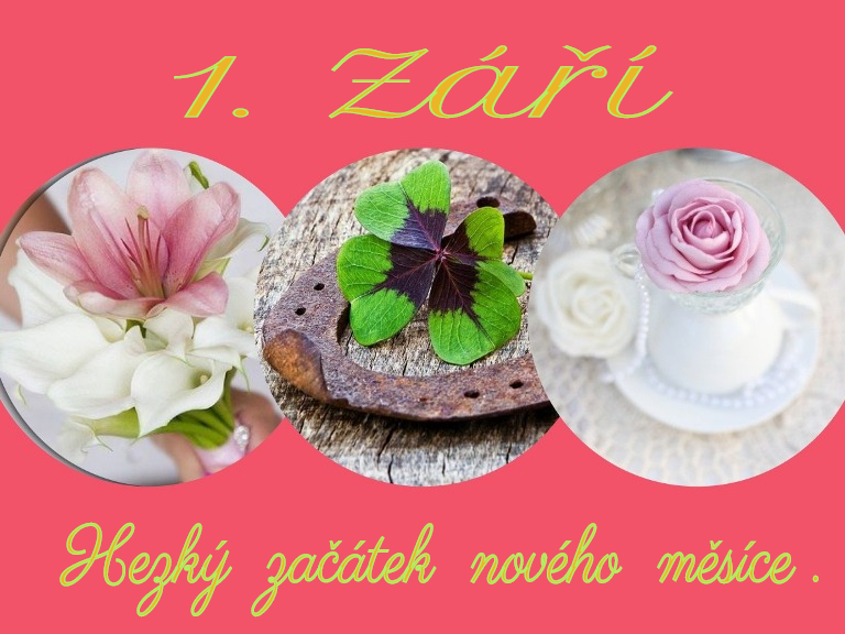 zari