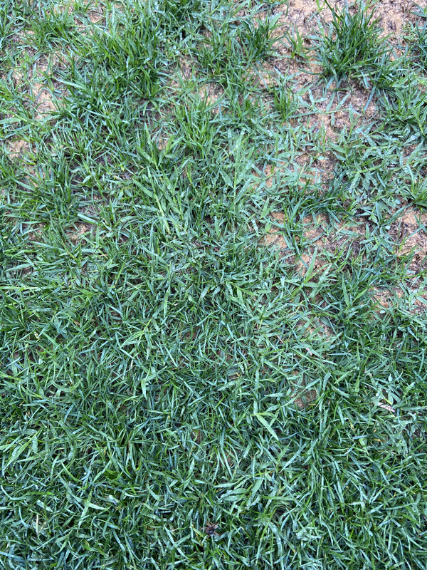 78C66033-2E14-484F-8216-8057F30626CD