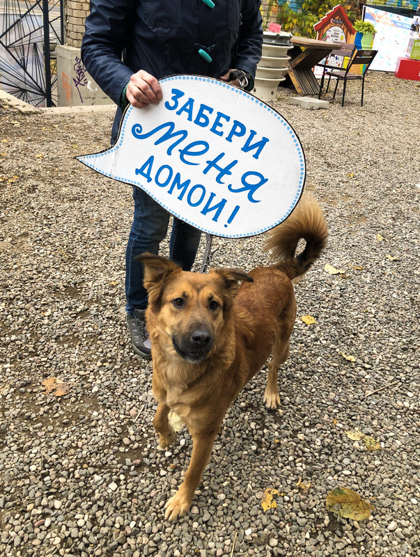 92ABA6EE-F127-4BC5-A616-48D0A58A52BE