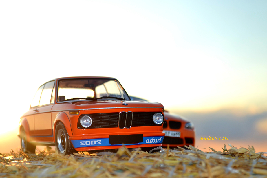 BMW-2002-TURBO-cv