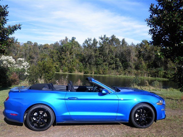 1FATP8UH3K5159596 Ford Mustang 2019 Blue 2.3L