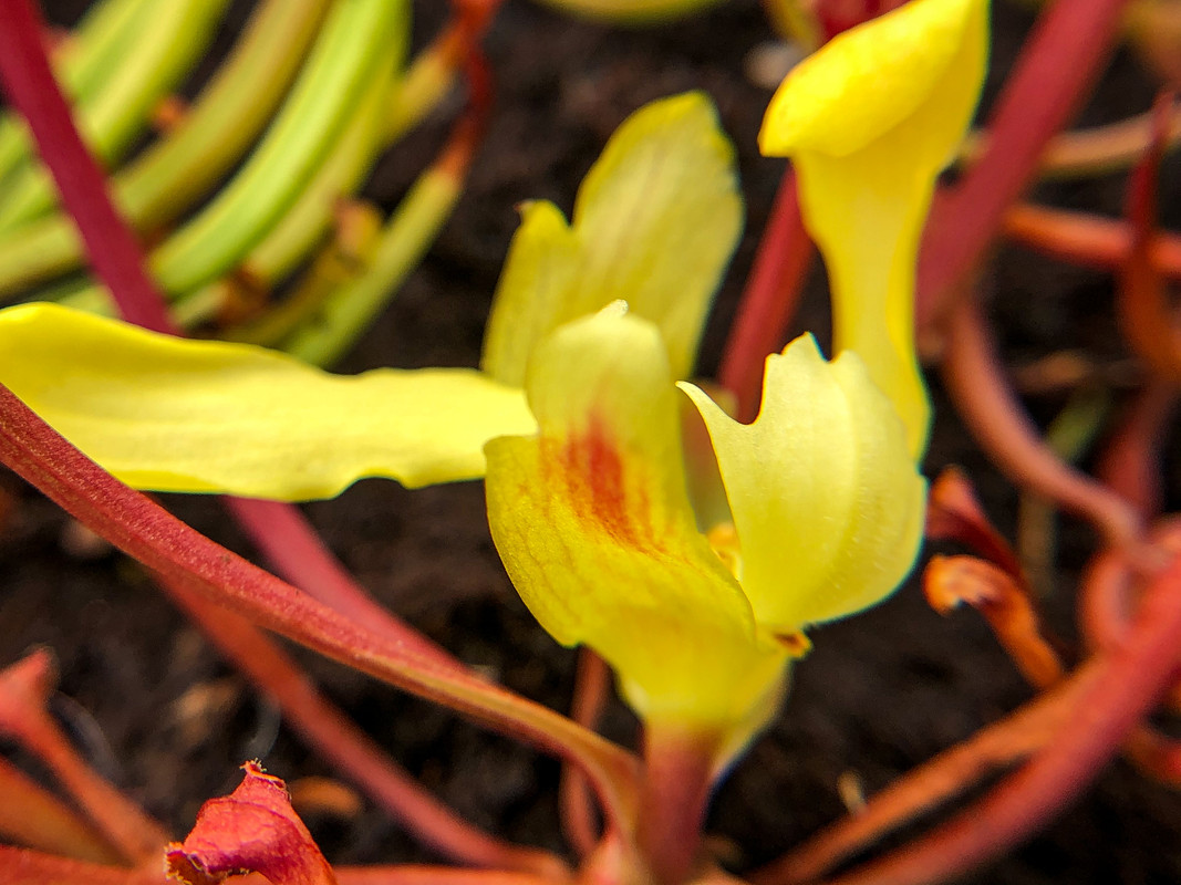 2081EE58-E830-4B32-AA7E-A1F1CC762270