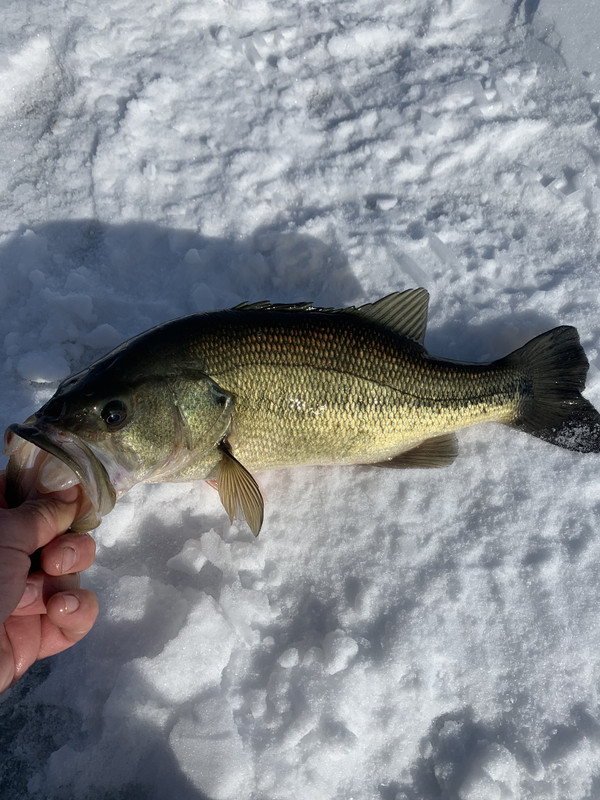 E57F6C26-4AFC-4E4F-9750-CAE45D9A949B