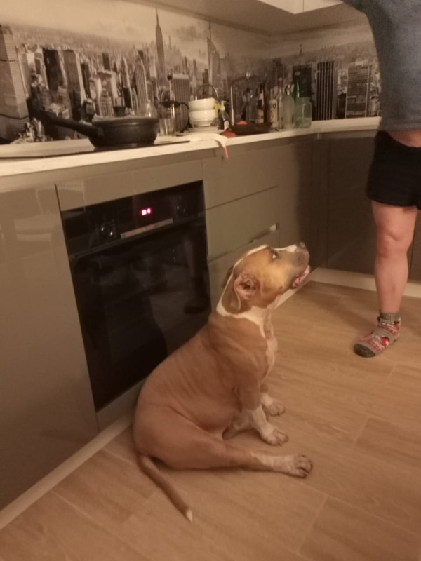 786EF306-7553-4456-8437-0486AC634014