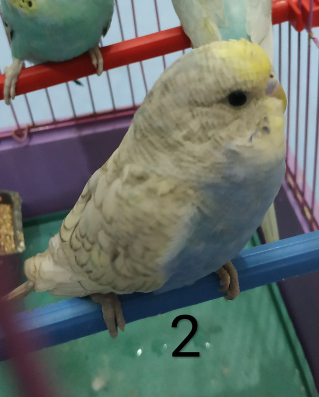 IMG_٢?١٨١??٦_١?١١٤?