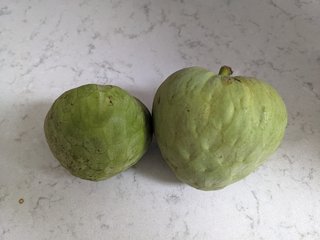 PXL_20221010_205931410