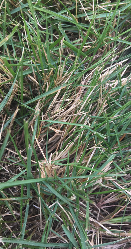 EEBDFCBE-BA73-4CD1-8551-9544B4F9F31C