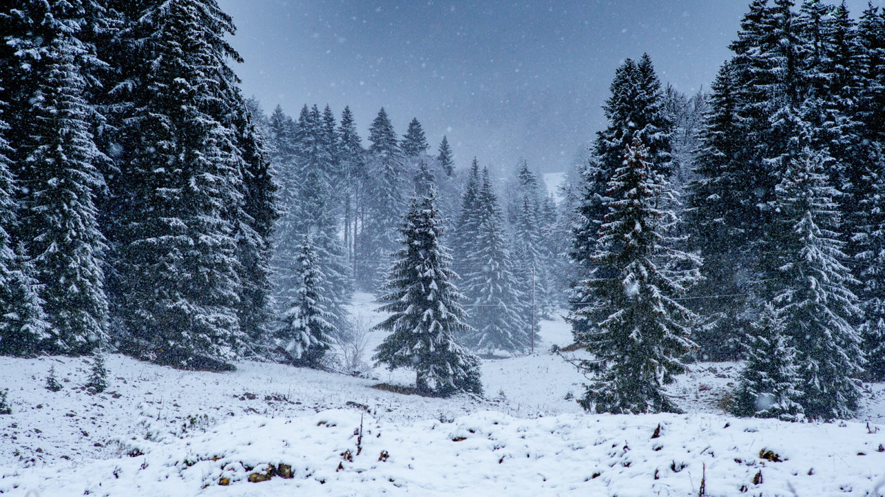 979C5800-8CED-43D9-BEF1-721B435A67B2