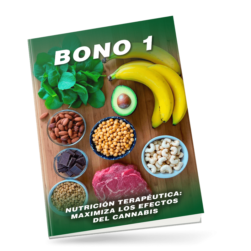Bono 1 Nutrición Terapéutica
