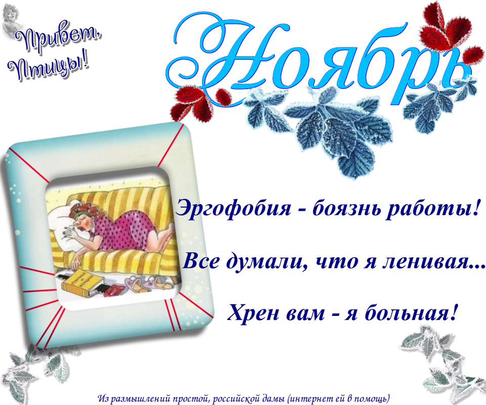 https://i.postimg.cc/jqyFzHGh/05-11.png