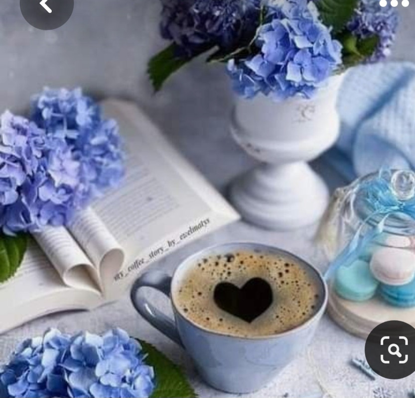 Screenshot_20230420_214022_Pinterest