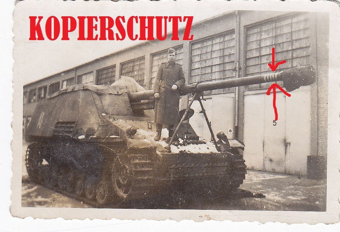 Panzerjäger Hornisse Nashorn mit Abschußringen a