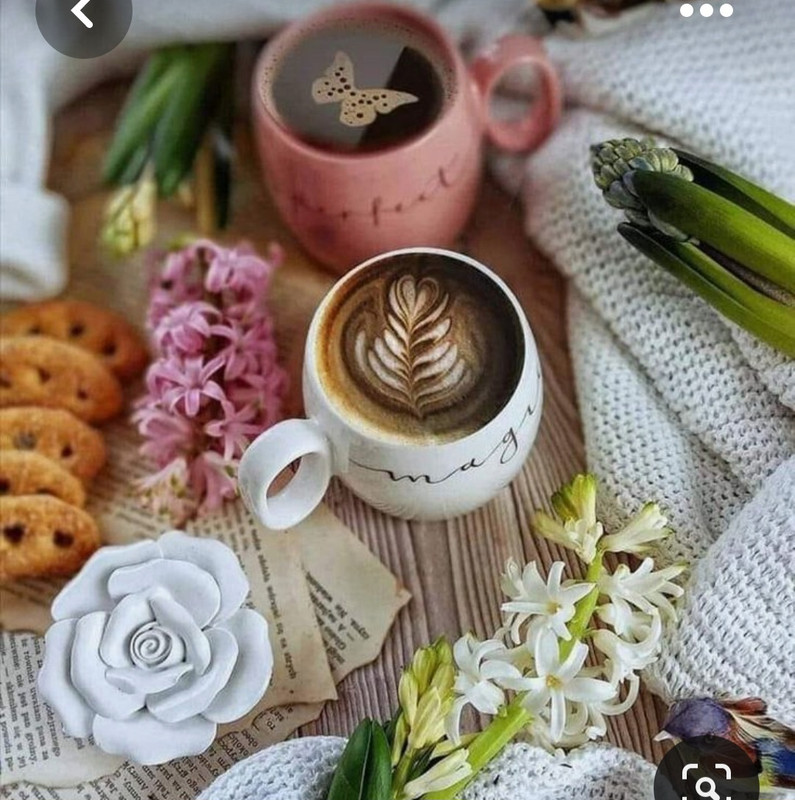 Screenshot_20230307_001837_Pinterest