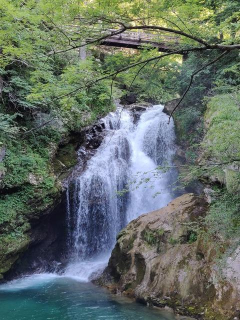 10 días por Eslovenia, Croacia y Bosnia con 3 niños. - Blogs de Europa Oriental - Lunes: Cuevas de Postoina y Skocjan  Castillo de Predjama, Vintgar y lago Bled (18)