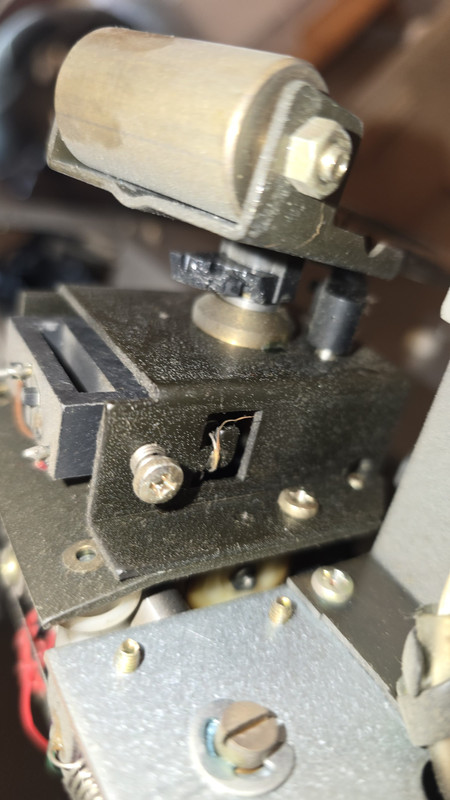 WhatsApp Image 2025-05-04 at 15.18.49 (1)