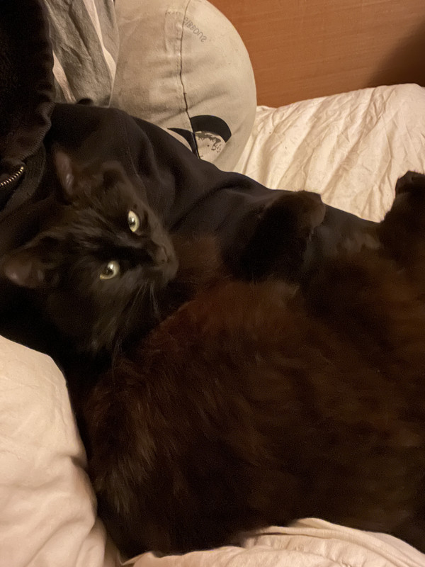 Jiji