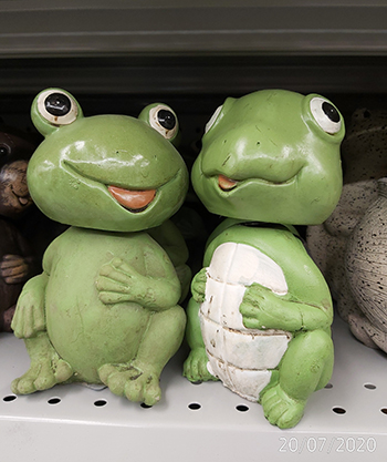 [Image: IMG-20200720-155109.jpg]