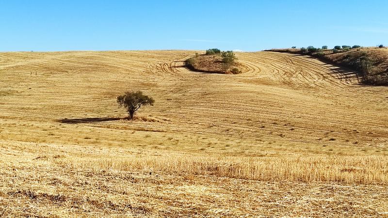 Barrancas de Burujón-2015/2025 - Toledo y sus pueblos-1996/2026 (60)