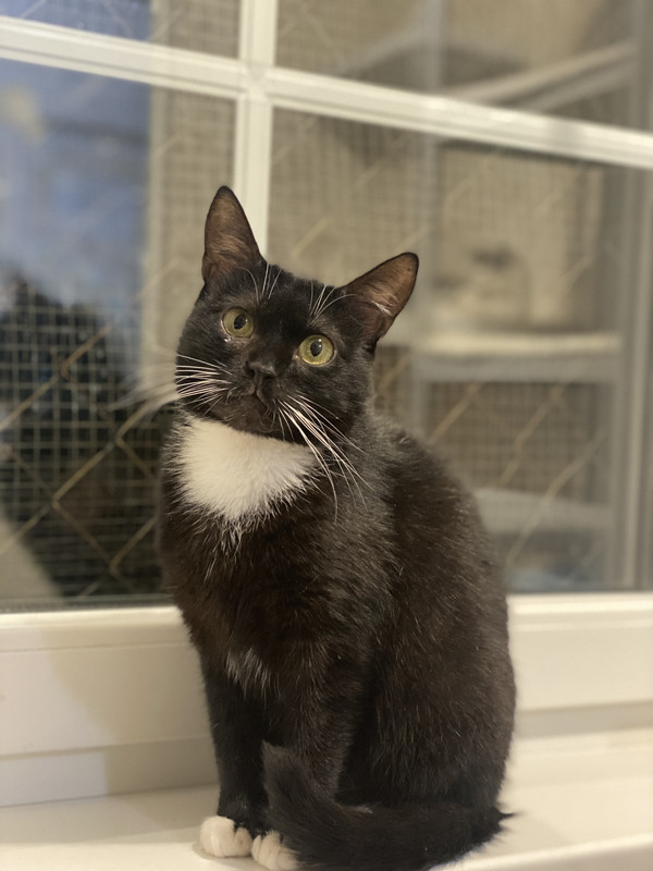 3168F804-57A7-4A41-9AEF-5A908FA4C598