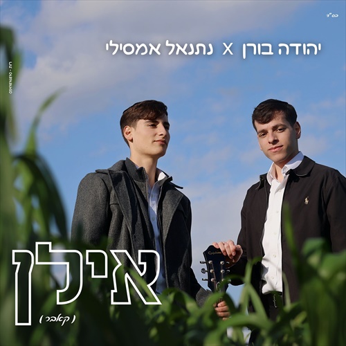 תמונה