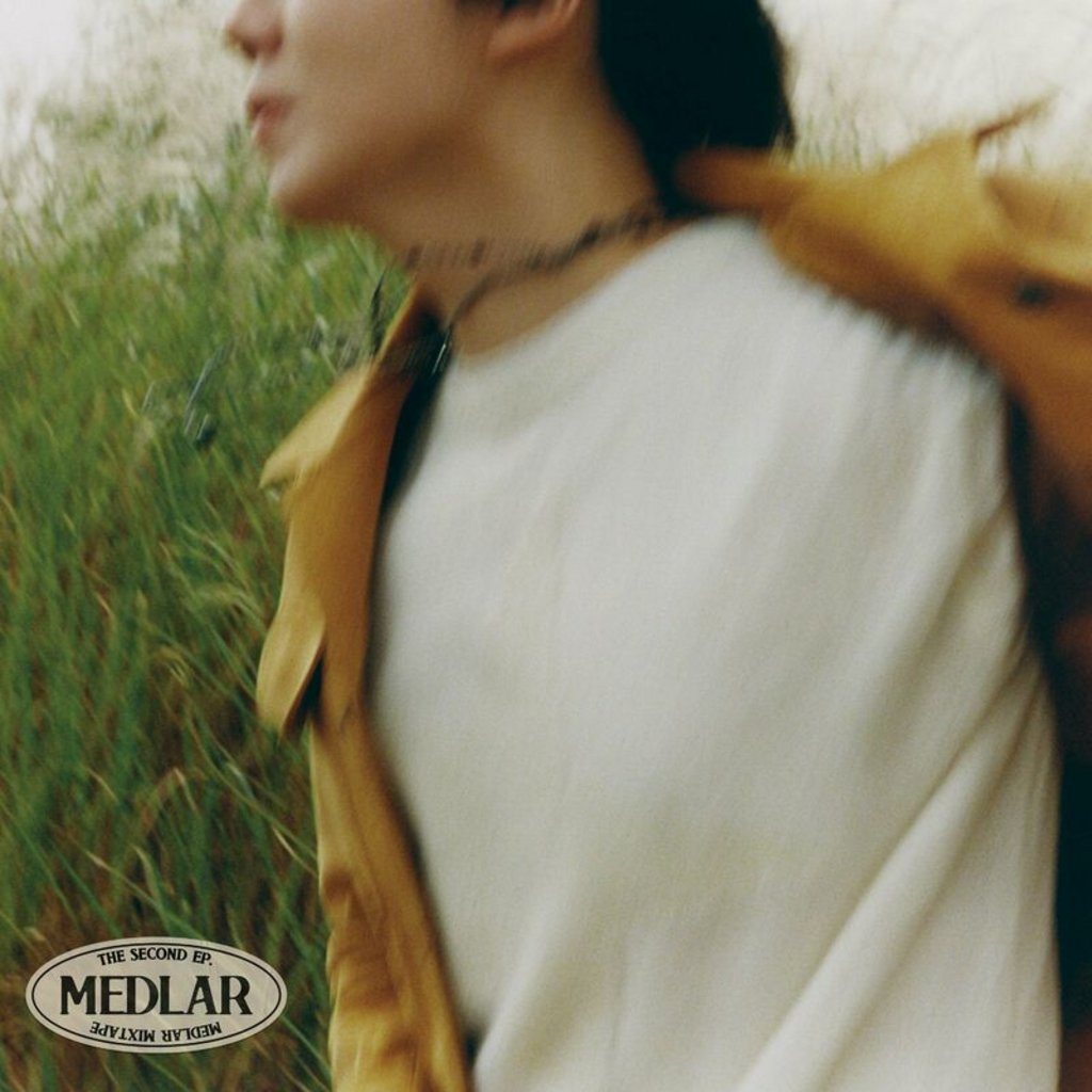 I'll- Medlar Mixtape 2023 Mp3 [320kbps]  29vv8vbzpm1d