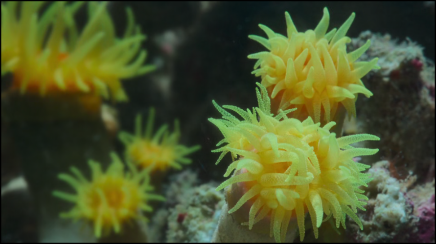 [Image: 1tlsth7dml03.png]