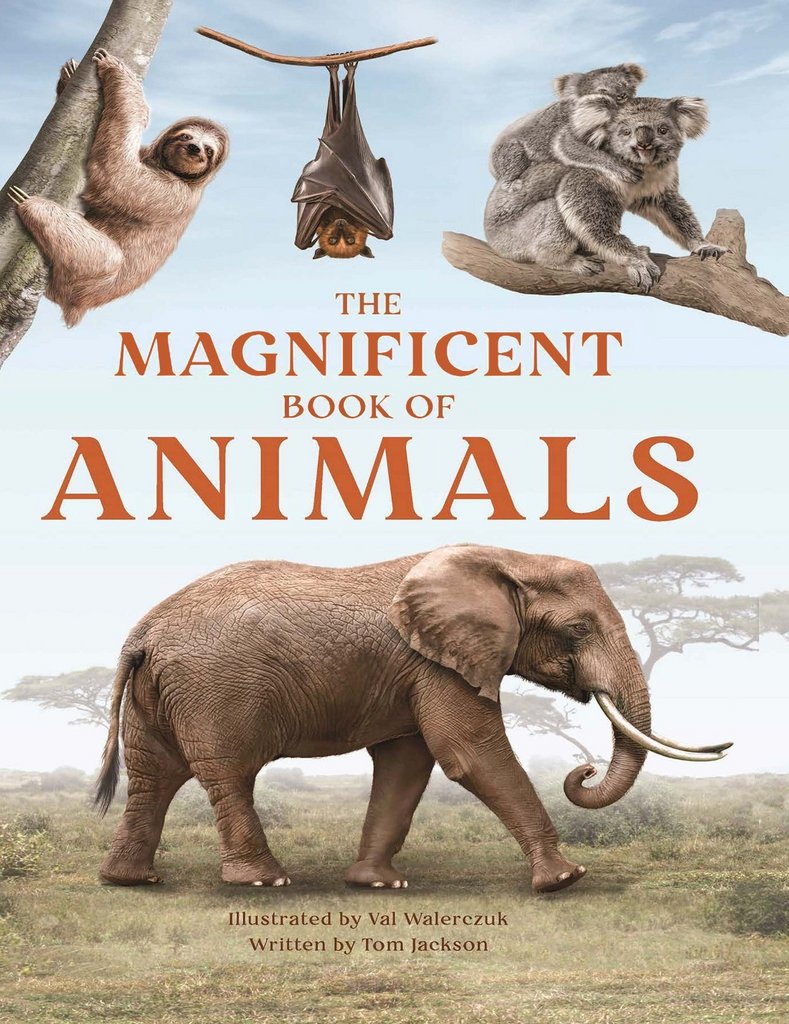 [Image: 0if5flgh1bc0.jpg]