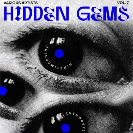 VA - Hidden Gems Vol 7 (2025)