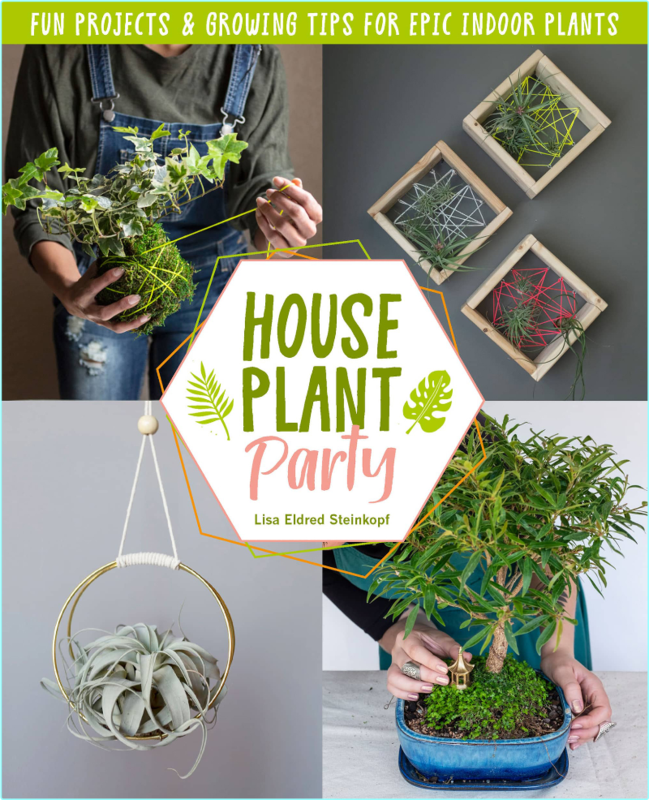 [Image: 93bmsr3w7giy.png]