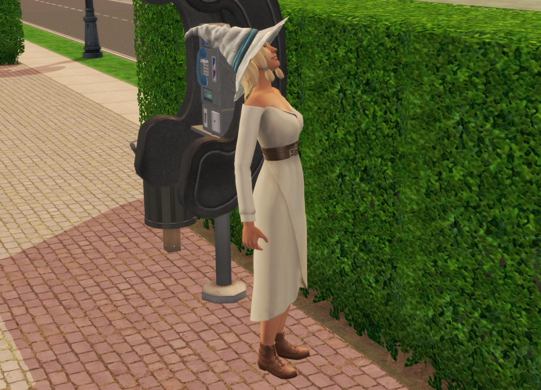 Sims2-EP9-RPC-2024-08-19-19-58-02-04