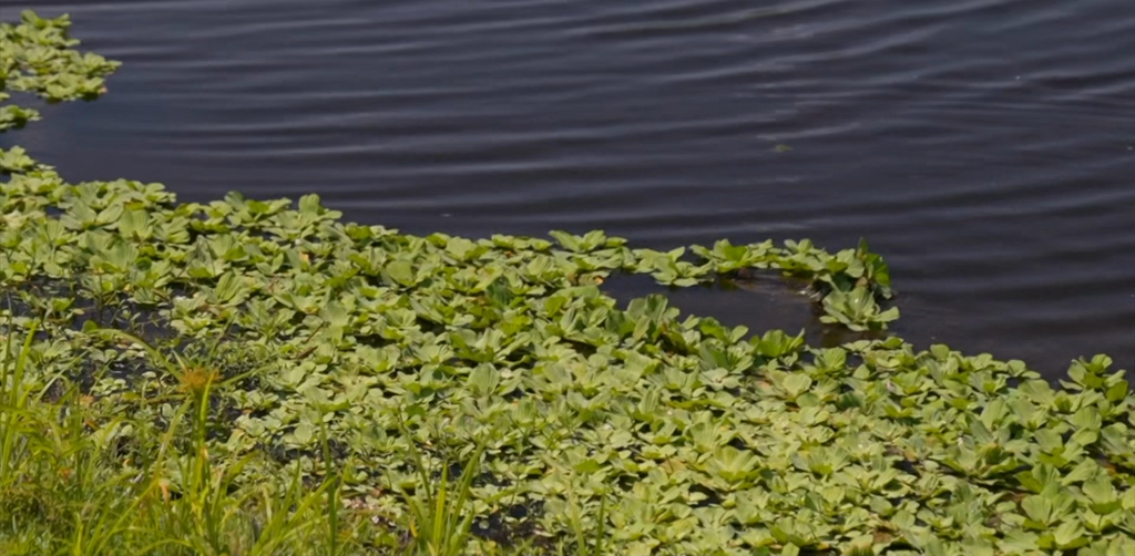 [Image: q07tlwspo21k.png]