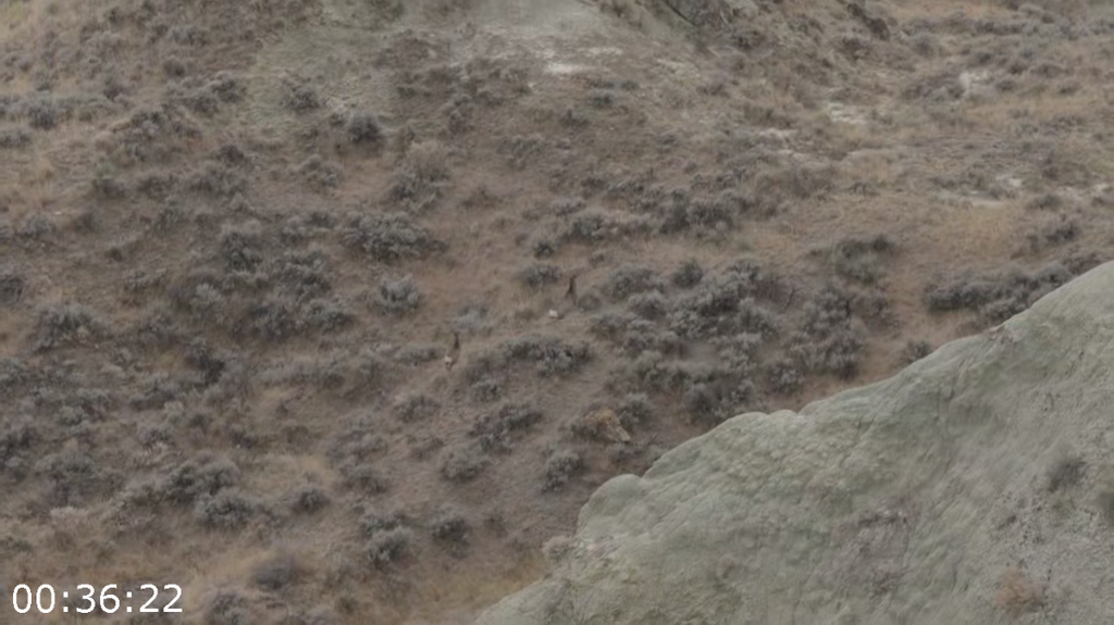 [Image: 0cvv1gvfdi06.png]