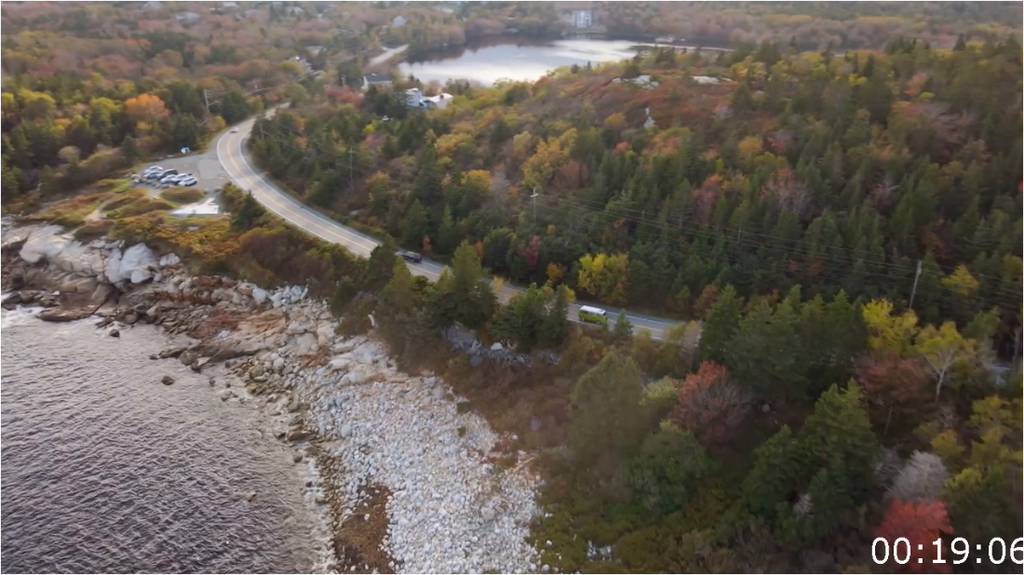 [Image: catwl0g5c99w.png]