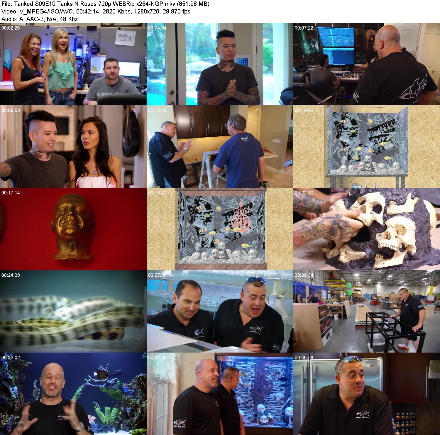 [Image: xu1ij0xpd16w.jpg]