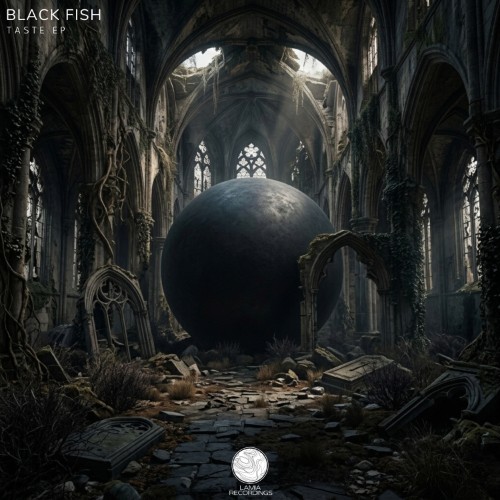 Black Fish - Taste EP (2026) MP3