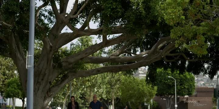 [Image: zj3t28jirmd3.jpg]