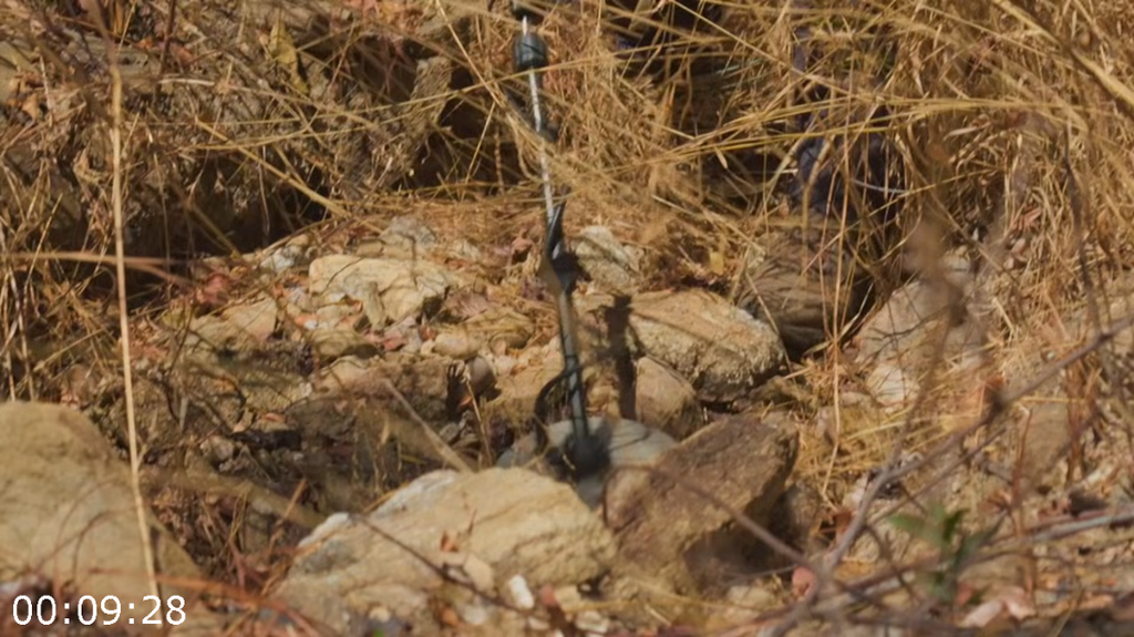 [Image: 21nayclx16uh.png]